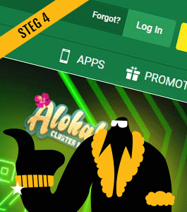 Fyll i dina uppgifter för att registrera ett online casino-konto på ditt valda casino och göra en säker insättning eller spela din no deposit bonus eller free spins