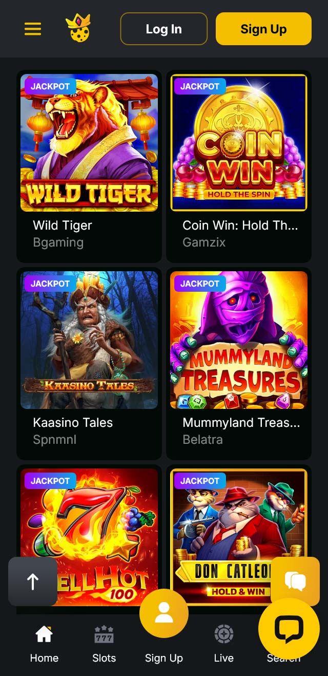 Kaasino App Mobiele Interface