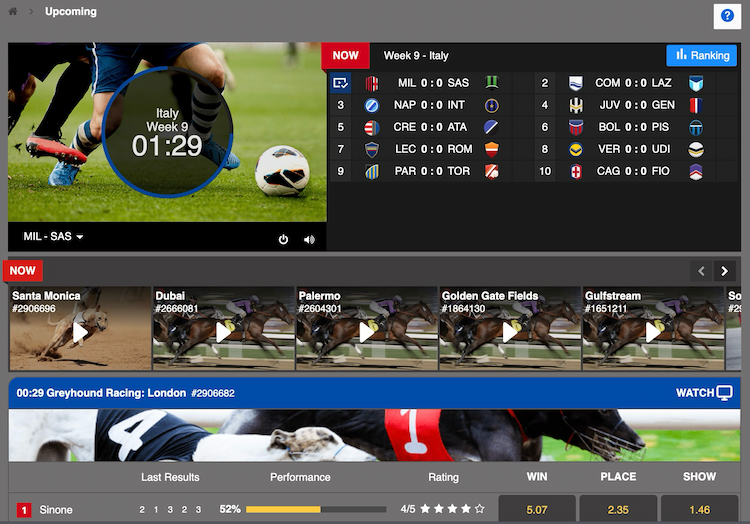 Golden Race Game Virtual Football