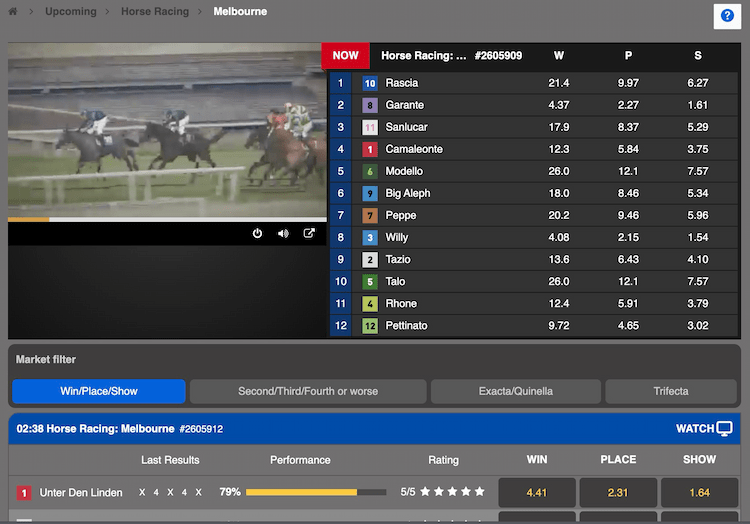 Golden Race Horse Racing