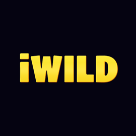 IWild Casino - logo